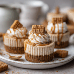 The Ultimate Guide to Mini Vegan Biscoff Cheesecakes: A No-Bake Dream Dessert